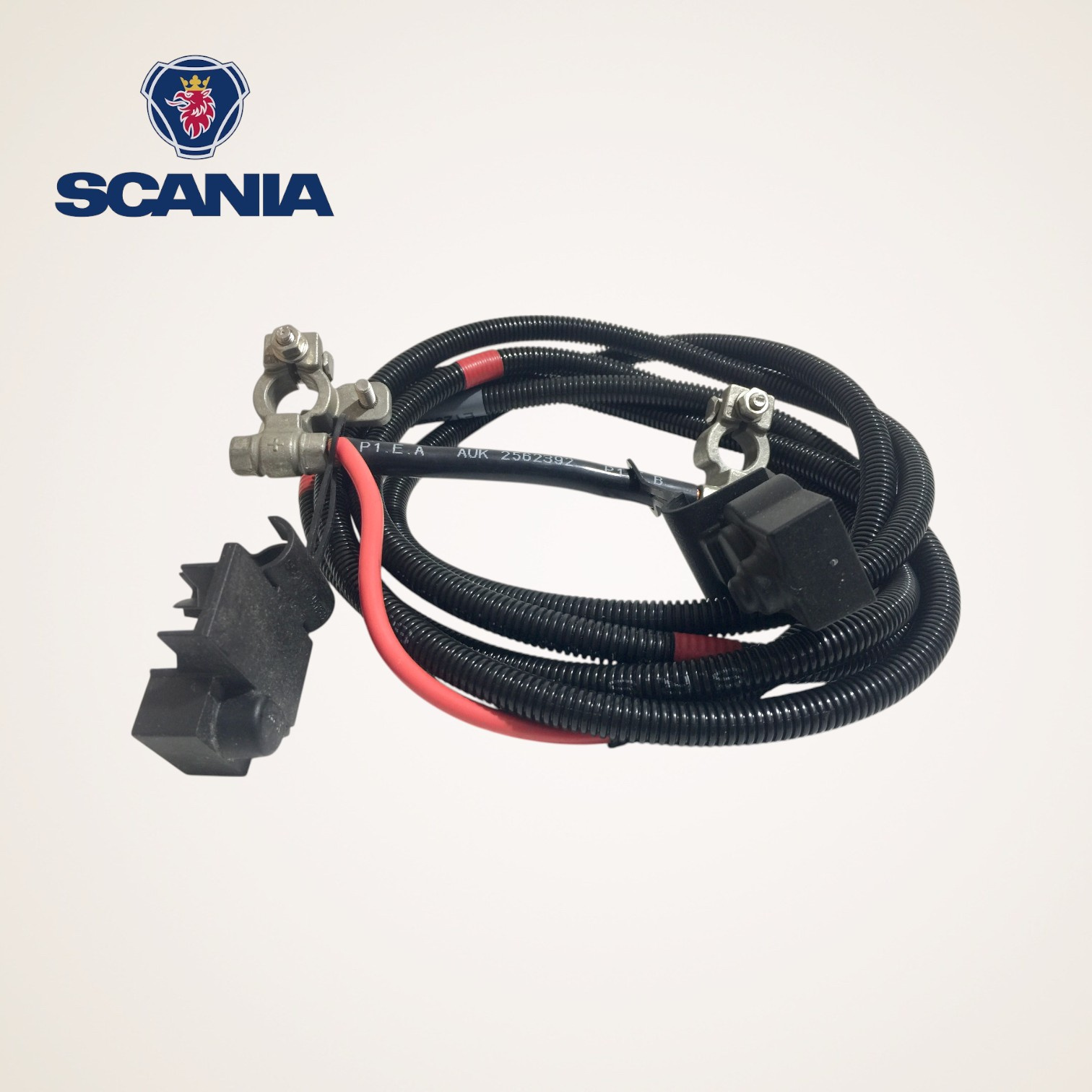 CHICOTE CABO DE BATERIA COMPLETO ORIGINAL 12V SERIE L-P-G-R-S - 2562392 - SCANIA