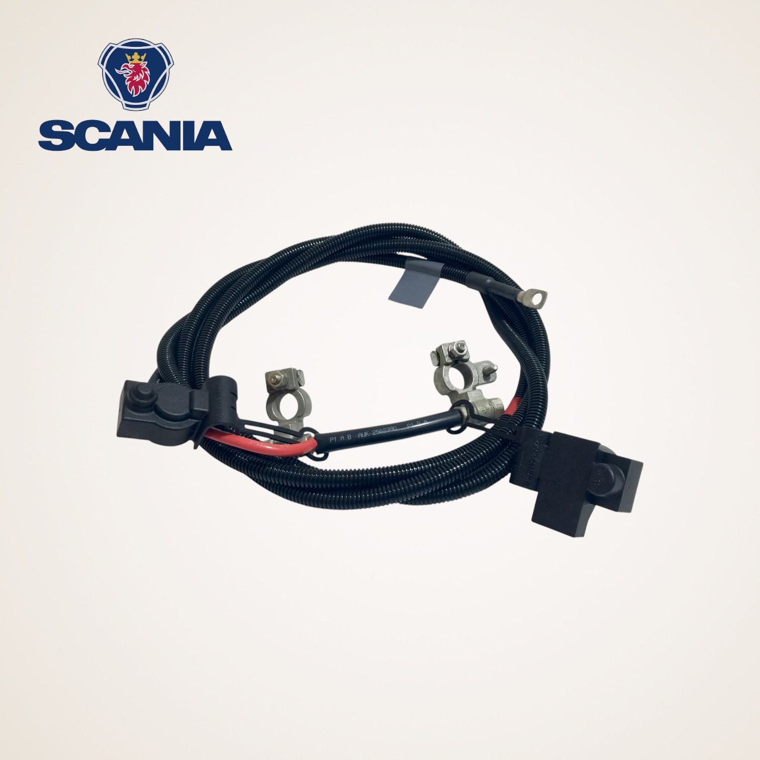 CHICOTE CABO DE BATERIA COMPLETO ORIGINAL 12V SERIE L-P-G-R-S - 2562390 - SCANIA